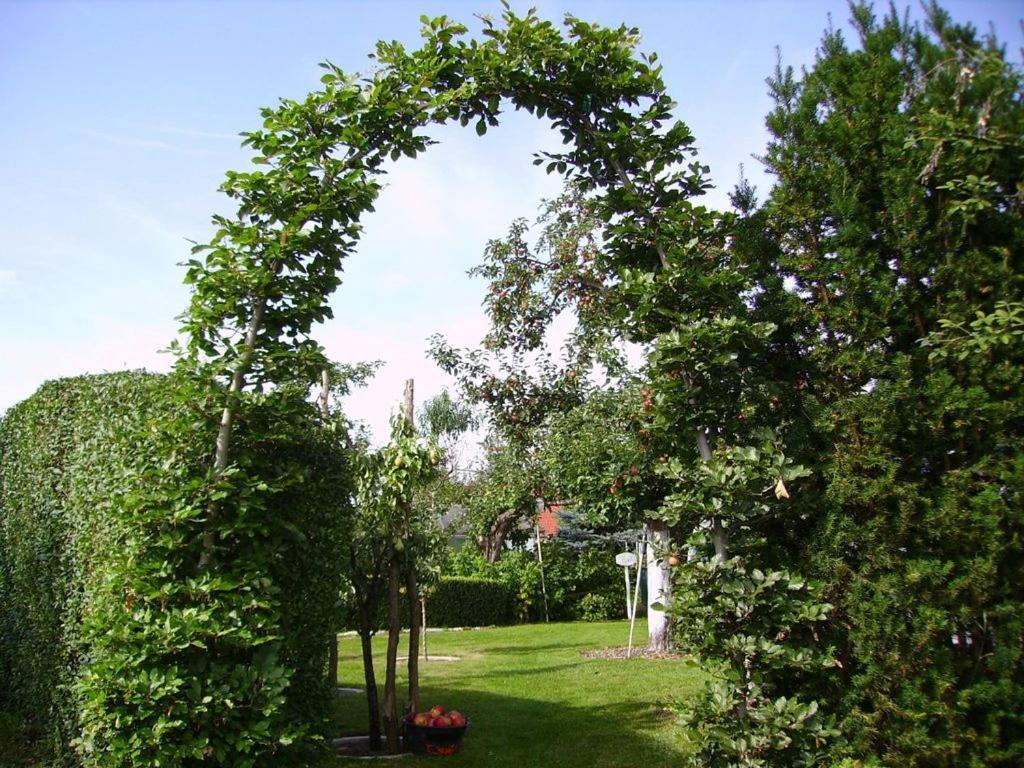 Ferienhaus-Weitblick Wohlau Eksteriør bilde