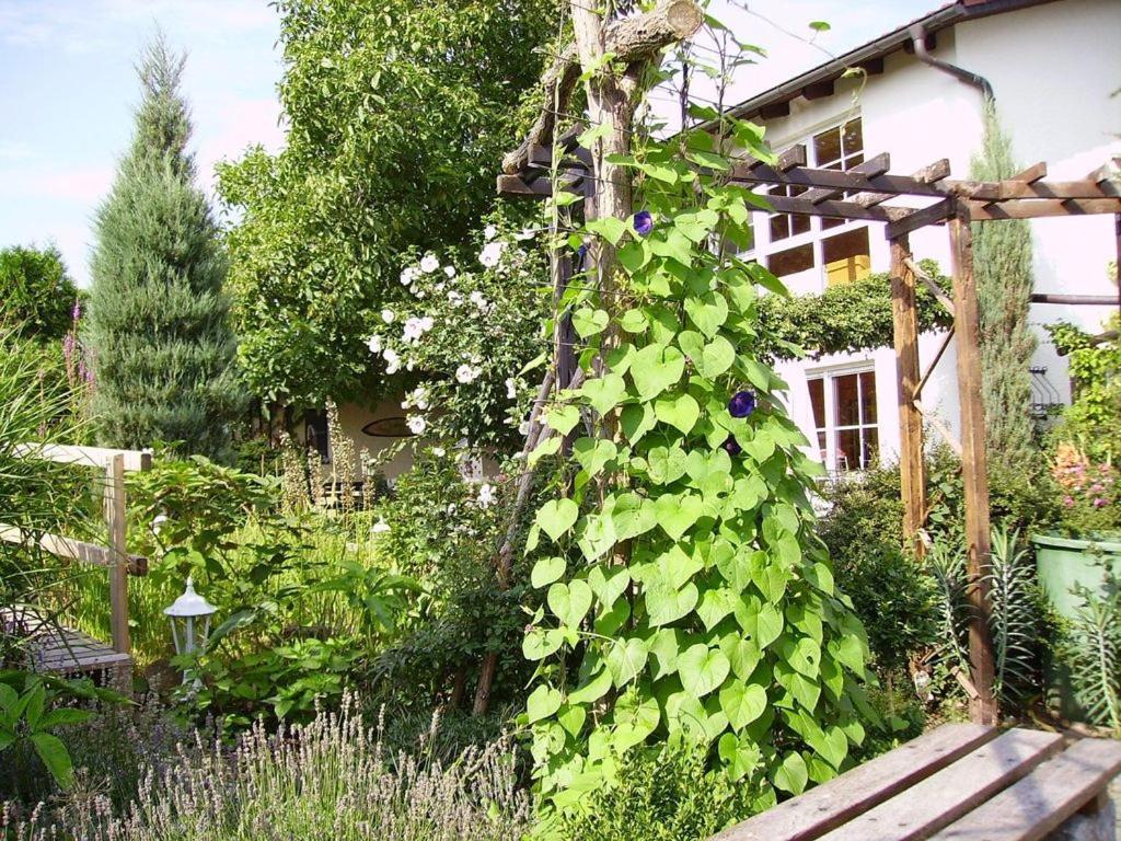 Ferienhaus-Weitblick Wohlau Eksteriør bilde